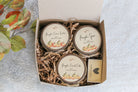 Pumpkin Candles / Fall Candle Set / Set of 3 Soy Candles / Pumpkin Spice Candle / Pumpkin Creme Brulee / Pumpkin Crumb Cake / Fall Gift