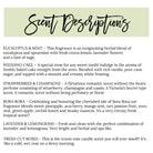 He's marrying me but he's stuck with us / Bridesmaid Proposal Gift / Soy Candle Bridesmaid Gifts / Maid of Honor / Matron of Honor / Custom